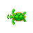 Die Schildkröten